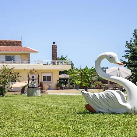 Laylande House Villa *